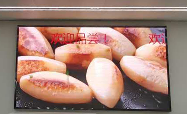 长征娱乐 | 独立电影佳作与破圈之道