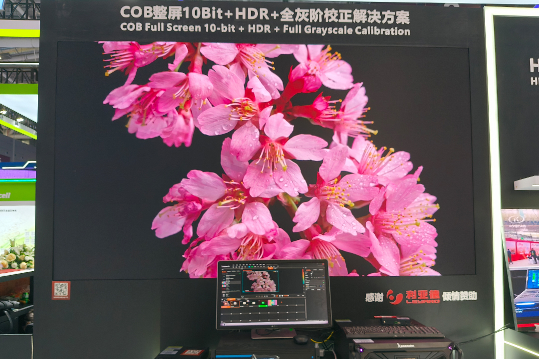 长征娱乐 | 独立电影佳作与破圈之道